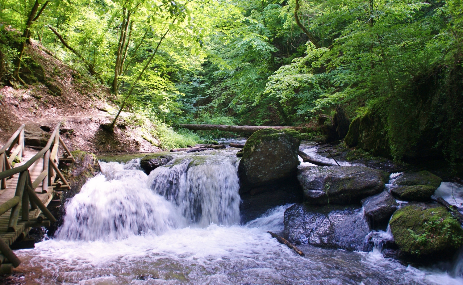 Traumschleife Ehrbachklamm