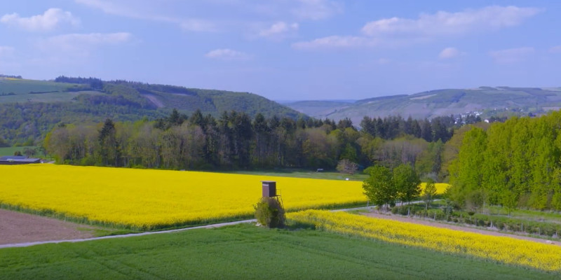 Von Mertesdorf nach Sommerau