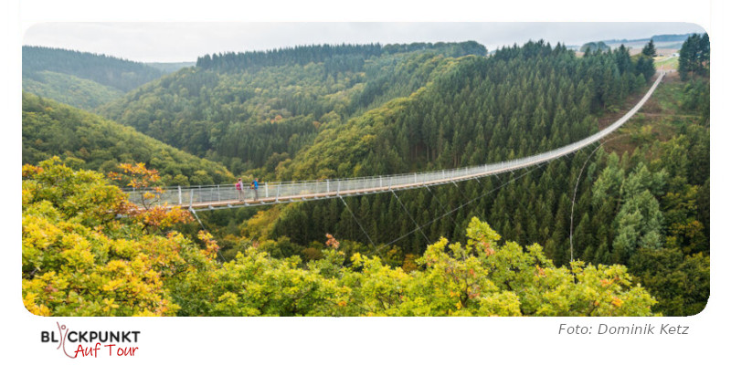 Die Hängeseilbrücke Geierlay im Hunsrück