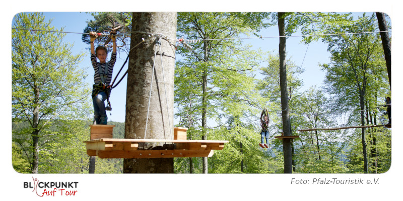 Ziplinepark in Elmstein