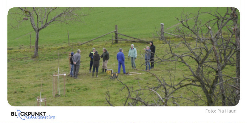 Baumpflanzaktion in Gusterath und Pluwig