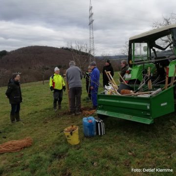 Streuobstwiese - Ersatzpflanzung in Gusterath