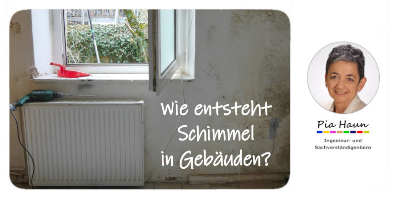 Wie entsteht Schimmel in Gebäuden